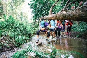 BIB: 
                            <button type="button" onclick="openModal(25517059)" class="btn btn-primary btn-sm float-right btn-popup" data-toggle="modal" data-target=".modal-high-quality">
                        <i class="fas fa-shopping-cart"></i> Add to Cart
                    </button>
                                            <button type="button" onclick="isThisMe(25517059, true)" class="btn btn-success btn-sm float-right btn-popup btn-isme hidden" data-toggle="tooltip" data-placement="bottom" title="นี่คือรูปของคุณใช่ไหม คลิกที่นี่เพื่อเอาเข้าอัลบั้ม">
                        <i class="fas fa-plus"></i> Add to album
                    </button>
                    <button type="button" onclick="isThisMe(25517059, false)" class="btn btn-warning btn-sm float-right btn-popup btn-isnotme hidden">
                        <i class="fas fa-ban"></i> Remove from album
                    </button>